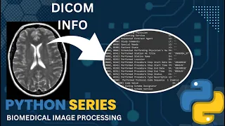Dicom info in Python Biomedical Image Processing