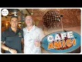 Cafe Amici in Sarasota Florida