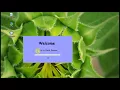 How to make Splash Screen in Java using Netbeans Loading Screen