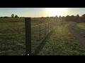 Cattle Panel Fence Build Part 2