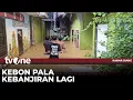 Download Lagu Ratusan Rumah Warga di Permukiman Kebon Pala Terendam Banjir | Kabar Siang tvOne