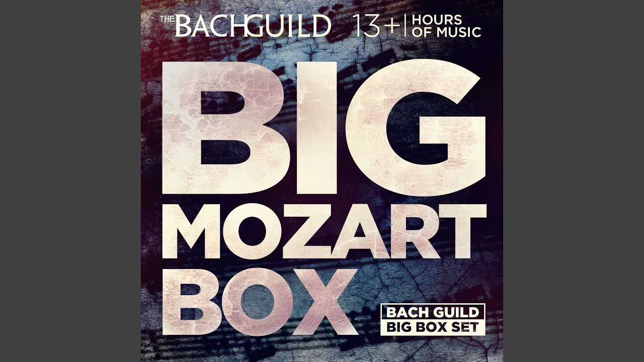 String Quintet No. 4 in G Minor, K. 516: i. Allegro String Quintet No. 4 in G Minor, K. 516: i. Allegro