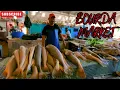 Download Lagu GUYANA 2023 - BOURDA MARKET / Regent Street Georgetown