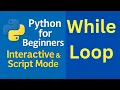 Python Programs Using While Loop Class 7 10 Python for Beginners
