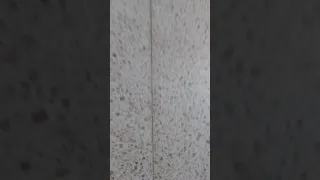 سم سم سمير ابو زب كبير 