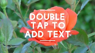 أحدث نغمه  أجمل نغمه  ورده احمر نغمات رنات دندنها