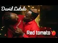 Download Lagu Red Tomato 🍅 By David Lutalo | Best romantic love song | 2025 official music lyrics