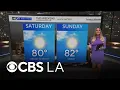 Dani Ruberti s NEXT Weather Forecast March 3
