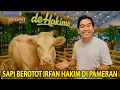 Download Lagu SAPI BEROTOT PILIHAN IRFAN HAKIM ADA DI PAMERAN IKAN TERBESAR DI DUNIA! NUSATIC NUSAPET 2025!