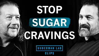 How to Reduce Sugar Cravings & Eat Healthier | Dr. Scott Kanoski & Dr. Andrew Huberman