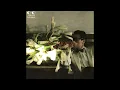 いっそセレナーデ ( '84 )　井上陽水　/　Yosui Inoue　"  Serenade "