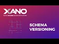 Schema Versioning