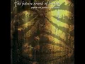 Papua New Guinea (Translation 1 - 12" Original)