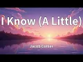 Jacob Collier - I Know (A Little) (Lyrics)