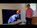 2025 Samsung 65 S95F 4K OLED unboxing and wall mounting