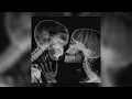 Download Lagu toxic x pony ; sped up