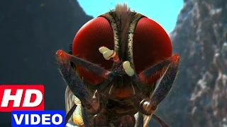 eecha movie best visual effect scene nani is reborn as fly s s rajamouli hit malayalam movie