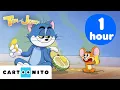 Download Lagu VERY Smelly Fruit | Tom \u0026 Jerry for Little Children 1 hour MARATHON Special| Cartoonito