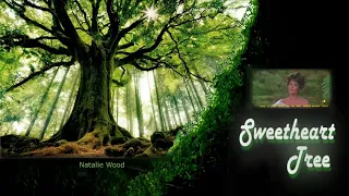 Download 情人樹 Natalie Wood / WeeGe — The Sweetheart Tree MP3