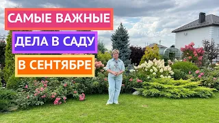 Как я готовлю свой сад к осени!