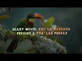 Køddy G - Peli De Terror (Lyrics/Letra)
