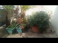 Download Lagu Viral TikTok Stuck In The Wall Girl 3D Animation