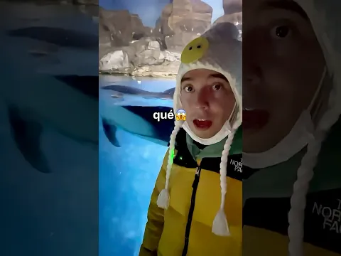El Acuario Más Grande y Raro del Mundo 🐠