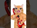 Download Lagu mein tera billu Tu Meri billi#shorts #cartoon #shortsfeed #viral #trending 🐈🤣
