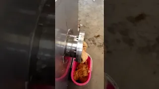 عجين التمر عجين البلح فرم البلح 