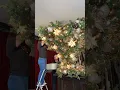 Upside Down Tree