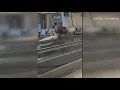 Man drives unattended cart through Buffalo Airport causing damage to concourse