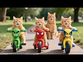 Download Lagu Mama Cat Trims Fur on the Farm and Makes Tiger Hat For Kittens At Home🐾🎩🐯