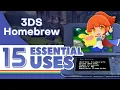 15 Essential Uses for 3DS Homebrew