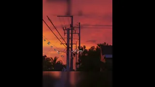 فين لياليك عمال بناديك فضل شاكر حالات واتساب 