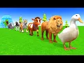 Download Lagu Long Slide Game with Cow Elephant Gorilla Hippopotamus Tiger 3d Animal Game Funny 3d Animals