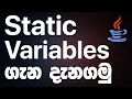Static Variables - JAVA Programming in Sinhala RAVB