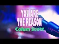 Download Lagu KARAOKE YOU ARE THE REASON FEMALE KEY - CALUM SCOTT
