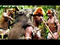 Download Lagu Suku Kombai, Bagaimana Suku Primitif Ini Hidup di Pedalaman Hutan Papua Selatan?