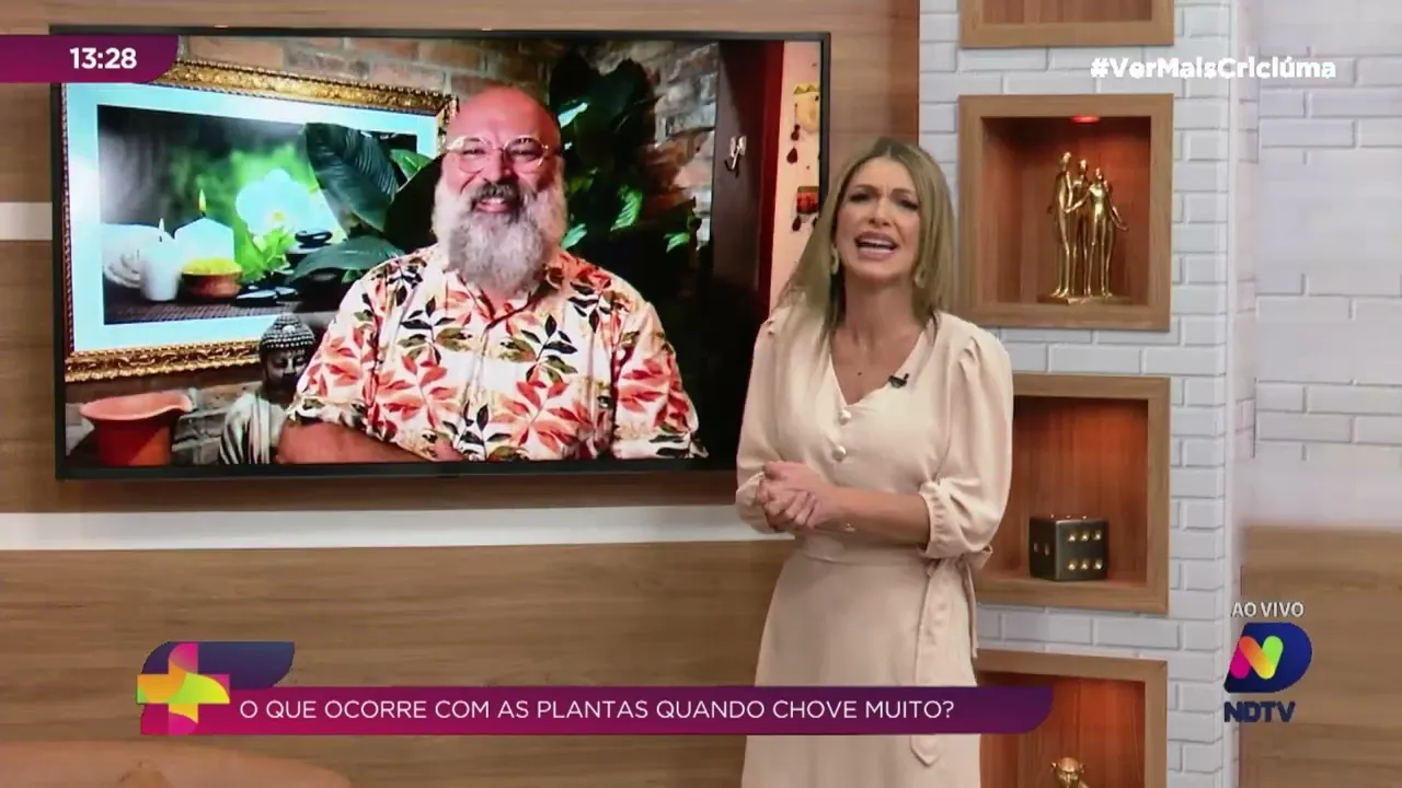 Muita chuva: saiba como cuidar de suas plantas nesses períodos de chuvas em excesso