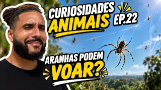 Curiosidades ANIMAIS! Ep.22 - Aranhas VOADORAS