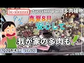 Download Lagu 627{多肉植物} 多肉の調子が悪いと悩んでいる方へ！真夏8月の我が家の現状を見て安心してください〜😂【ジュレ多肉】【弱り多肉】【真っ黒枯れ】【ba多肉】【baチャンネル】【Succulent】