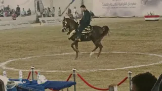 مفيش فايده مركز اول وإبراهيم غزال من مهرجان الشرقيه 2023 