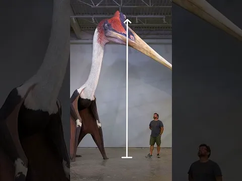 How This Giant Animal Could FLY