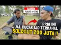 Download Lagu CAKNAN JUAL CUCAK IJO TERMAHAL DI INDONESIA SEHARGA MOBIL 😱 LAKU 200 JUTA ‼️#cucakijo #burung