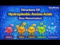 Hydrophobic Amino Acids Structure Easy Memorization