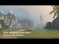 Skyborne Race Intro Soundtrack - World of Warcraft: Forever Music