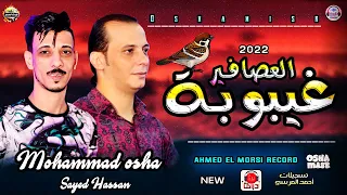 غيبوبه العصافير لاول مره في في تاريخ الشعبي من بعبع الحظ محمد اوشا والسيد حسن هتفرتك السماعات ٢٠٢٢ 