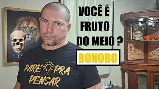 Você é quem deseja ser? Ou é um pau mandado, fruto do meio?