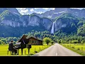 Download Lagu Beautiful classical music relaxes the Soul and Heart 🌿 Beethoven, Chopin, Bach, Mozart, Debussy