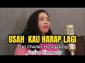 Download Lagu USAH KAU KENANG LAGI